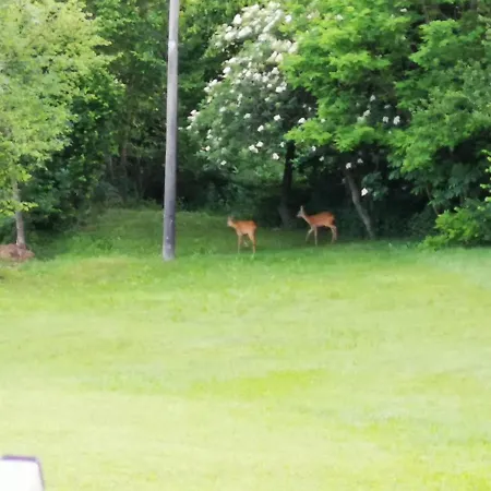 Lanterna Bed & Breakfast 3*